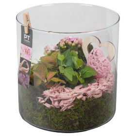 TERRARI PL VARIADA CILINDRE VIDRE D19 H21 rosa