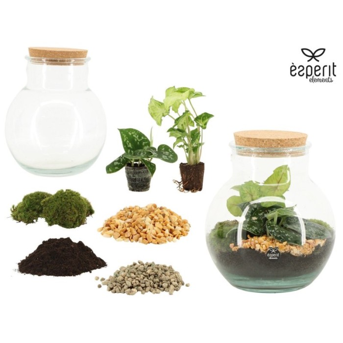 TERRARI EN  KIT D20 H25