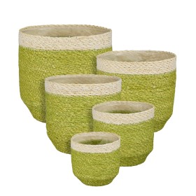 CISTELLS DAIN VERD MENTA SET 5 H12 D12-H20 D20