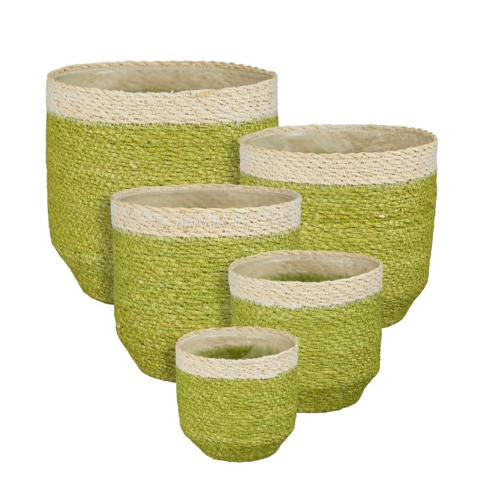 CISTELLS DAIN VERD MENTA SET 5 H12 D12-H20 D20