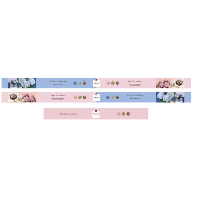 MAGICAL BENCH BANNER