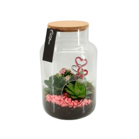 TERRARI PL VARIADA VIDRE D19 H30