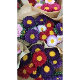 FLOR, FLOR CORONADO  60cm x5 tiges.