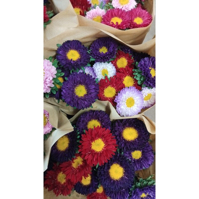 FLOR, FLOR CORONADO  60cm x5 tiges.