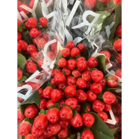 FLOR, HYPERICUM COCO TANGO 50cm. x10 tig vermell
