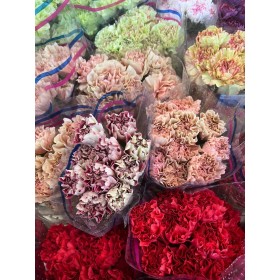 FLOR, CLAVELL COLOMBIA FANCY(paq x20)