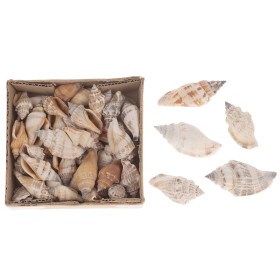 CARGOL MAR Aninikad 200gr 12x12x6cm Natural