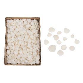 PETXINA Clamrose 1000gr in box 15x20x6cm Natural