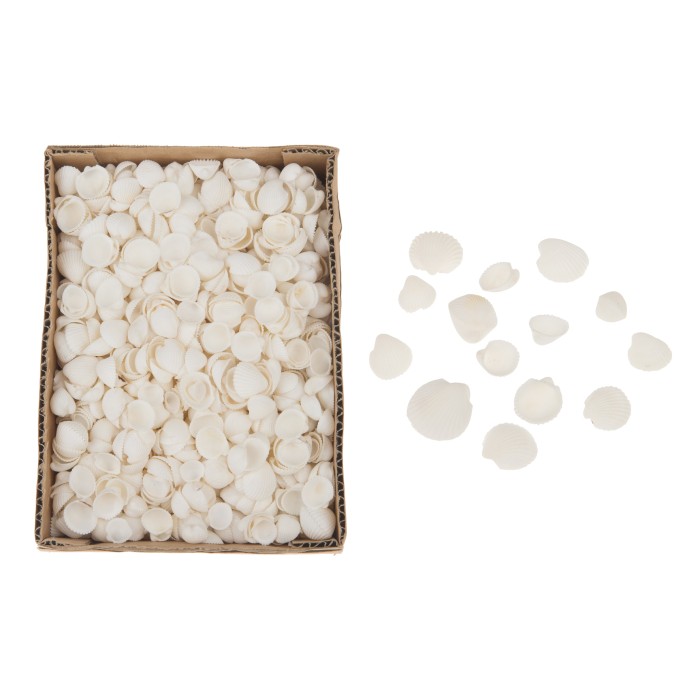 PETXINA Clamrose 1000gr in box 15x20x6cm Natural