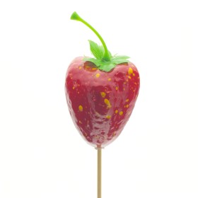 PICK MADUIXA 5cm PAL 50cm 25UNI