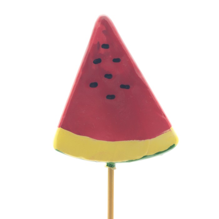 PICK SÍNDRIA 6cm PAL 50cm 25UNI