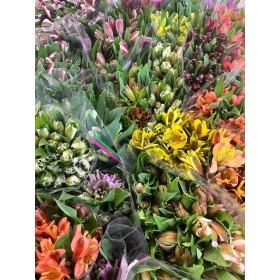 FLOR, ALSTROEMERIA paq. x10 tg.