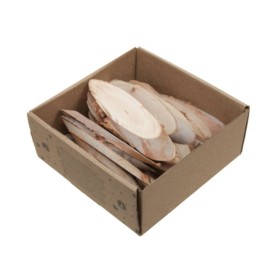 FUSTA OVALS 10-12 cm 25uni CAIXA