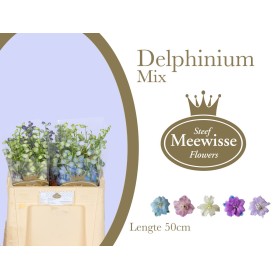 FLOR, DELPHINUM 50cm. x 10 tiges