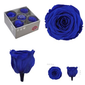 ROSA PRESERVADA SENSE TIJA BLAU FOSC CAIXA 5UNI