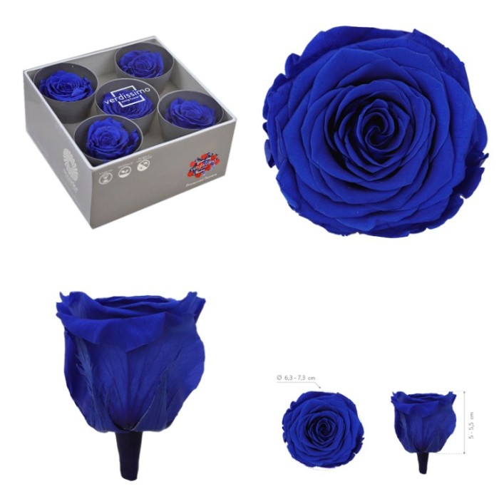 ROSA PRESERVADA SENSE TIJA BLAU FOSC CAIXA 5UNI