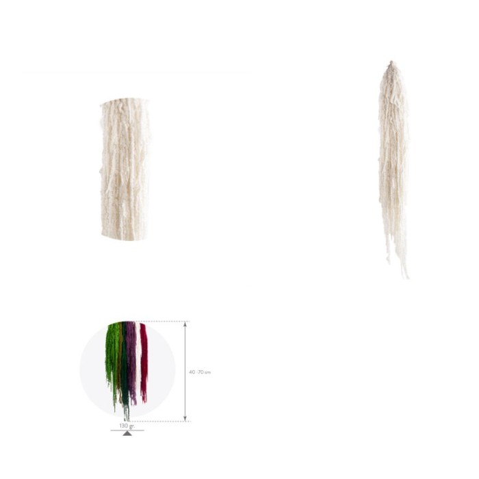 F.SECA, AMARANTHUS BLANC 40/70
