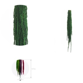F.SECA, AMARANTHUS VERD 40/70