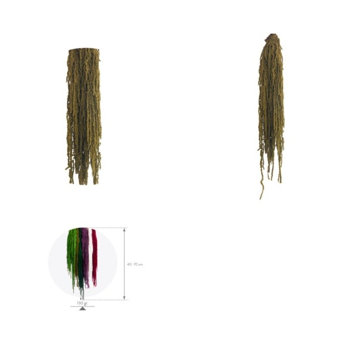 F.SECA, AMARANTHUS VERD CLAR 40/70