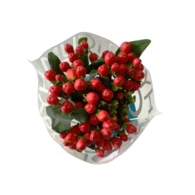 FLOR, HYPERICUM COCO TANGO 60cm. x10 tig vermell