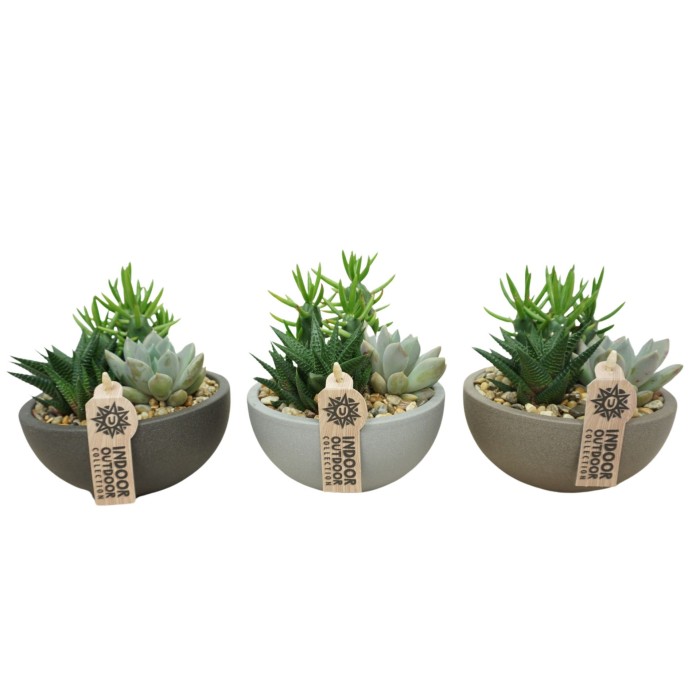 CRASAS COMPO M14 Tarrina Ceramica