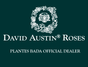 DAVID AUSTIN® ENGLISH ROSES